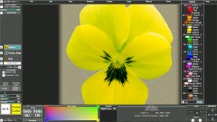 Rainbow Painter screenshot